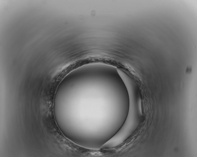 X0000090780822200707271547