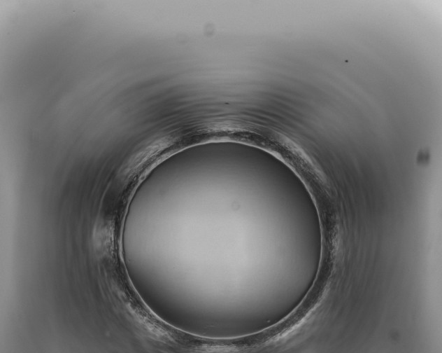 X0000090780825200707271547