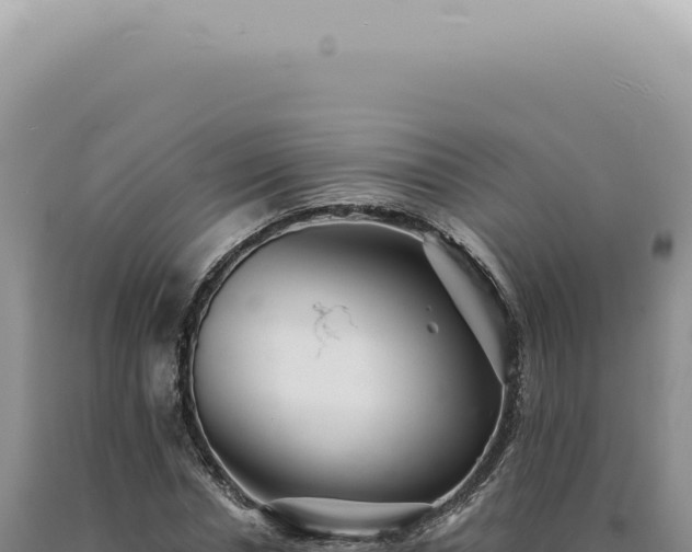 X0000090780826200707271547
