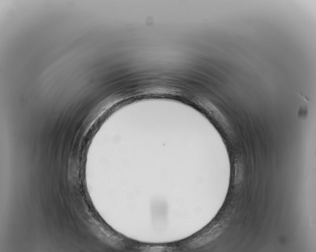 X0000090780828200707271547