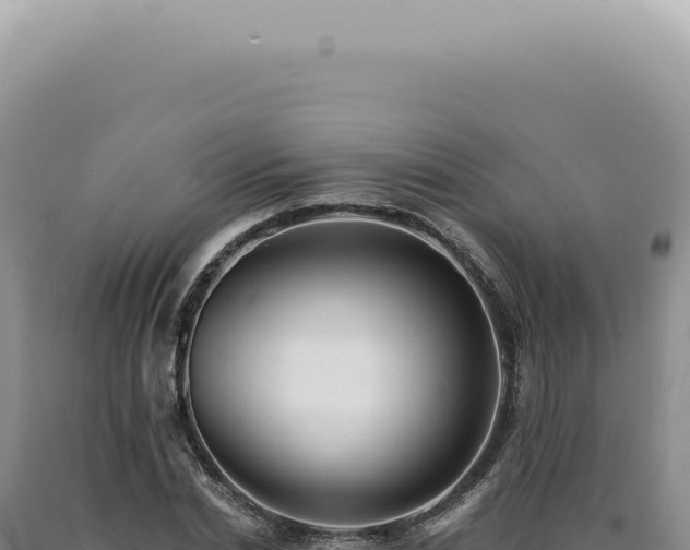 X0000090780830200707271547