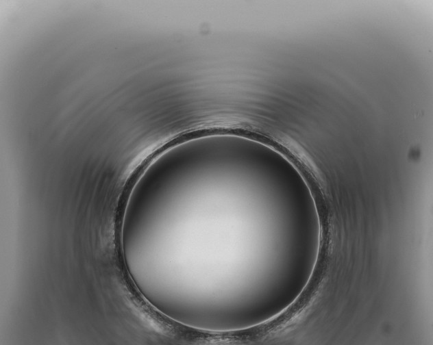 X0000090780834200707271547