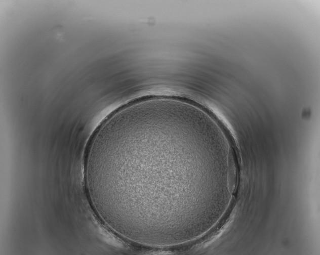X0000090780837200707271547