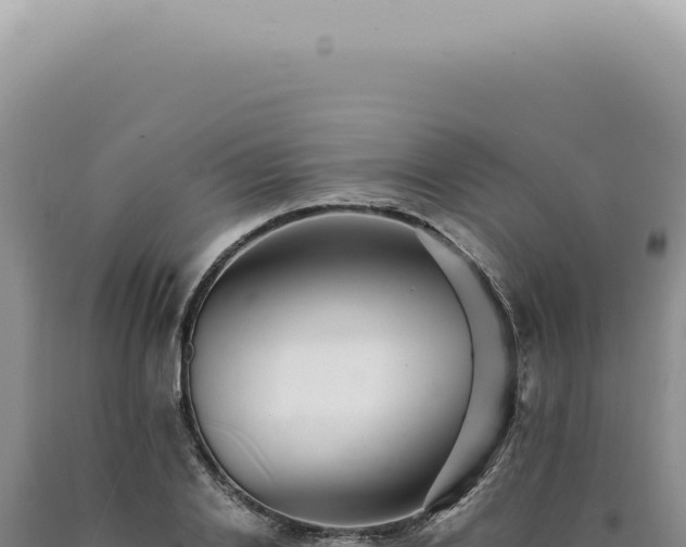 X0000090780838200707271547