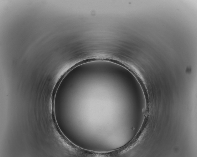 X0000090780839200707271547