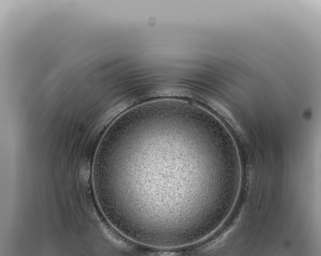 X0000090780841200707271547