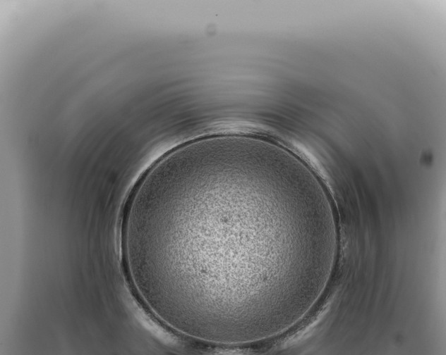 X0000090780843200707271547