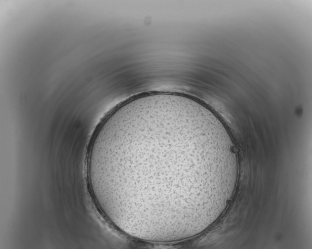 X0000090780848200707271547