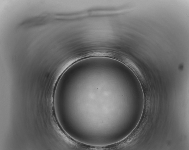 X0000090780852200707271547