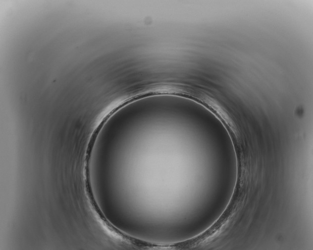 X0000090780853200707271547