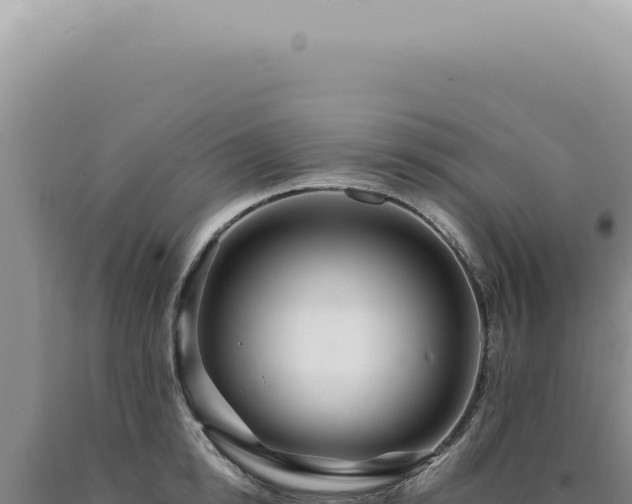 X0000090780854200707271547