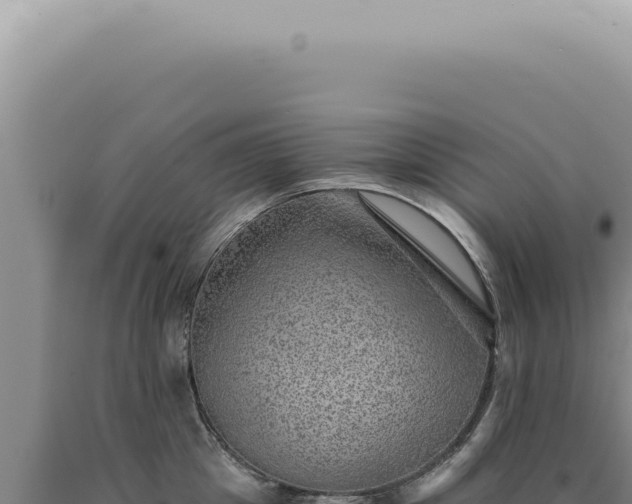 X0000090780857200707271547
