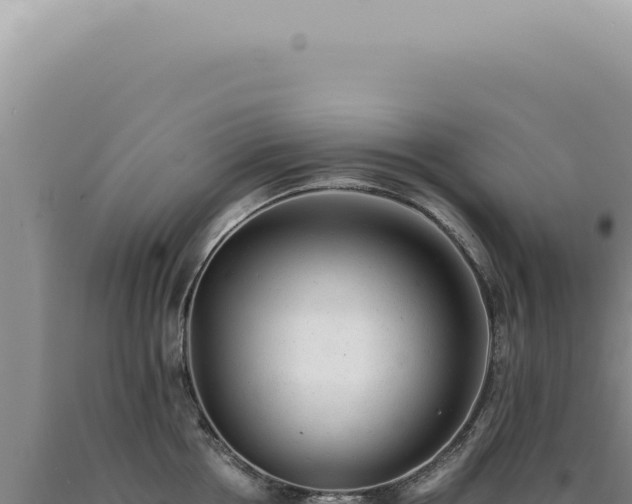 X0000090780858200707271547