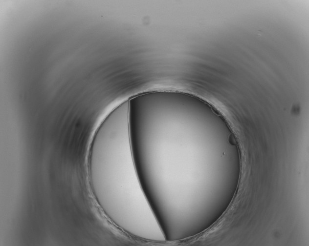 X0000090780864200707271547
