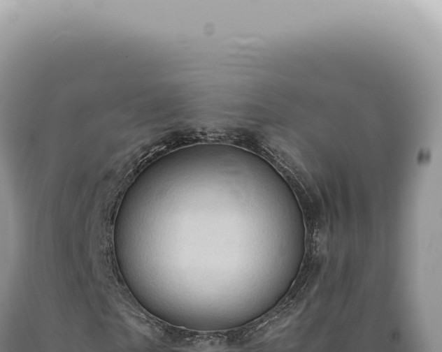 X0000090780865200707271547