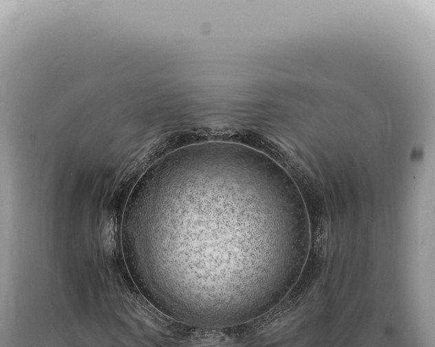 X0000090780866200707271547