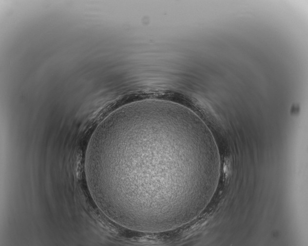X0000090780867200707271547