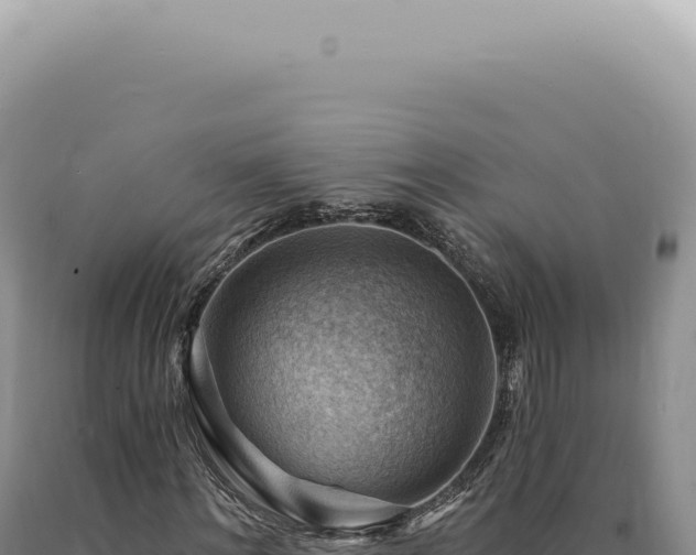 X0000090780868200707271547