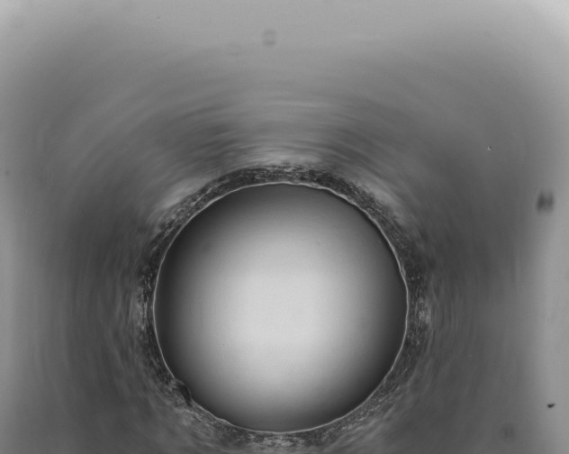 X0000090780869200707271547