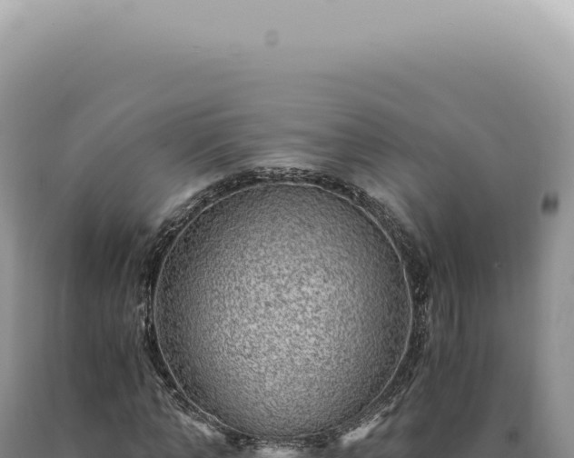 X0000090780870200707271547