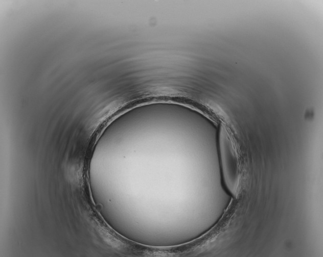 X0000090780873200707271547