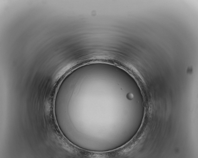 X0000090780874200707271547