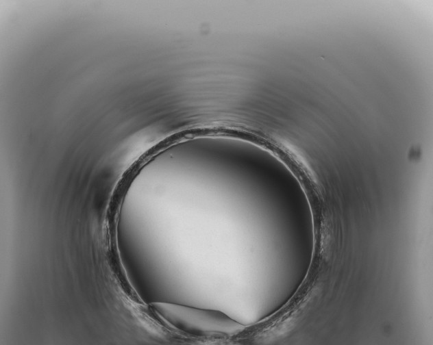 X0000090780876200707271547