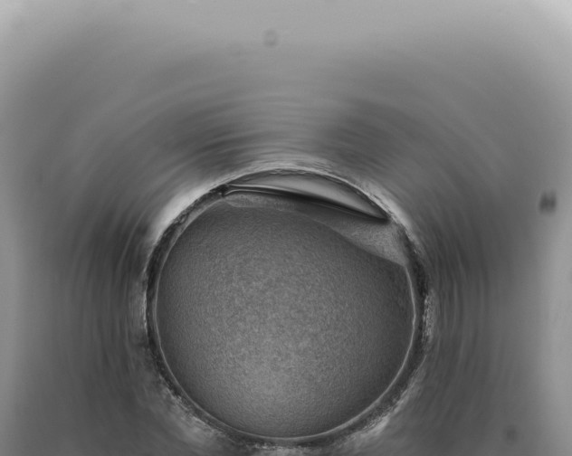 X0000090780877200707271547