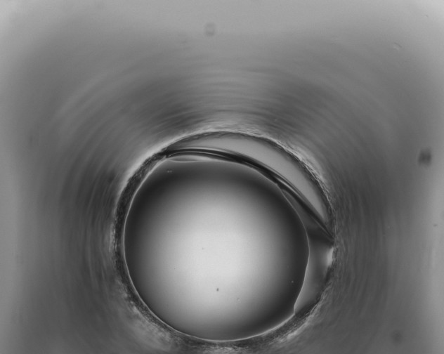 X0000090780880200707271547