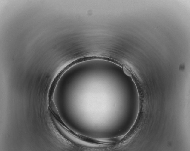 X0000090780884200707271546
