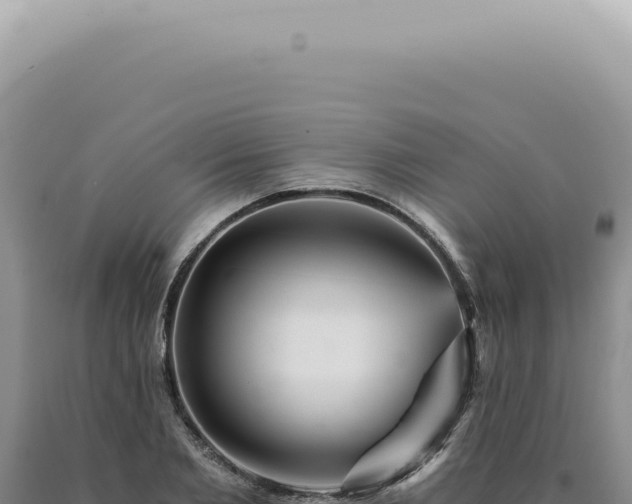 X0000090780885200707271546