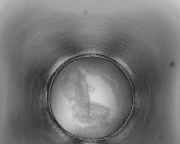 X0000090780886200707271546