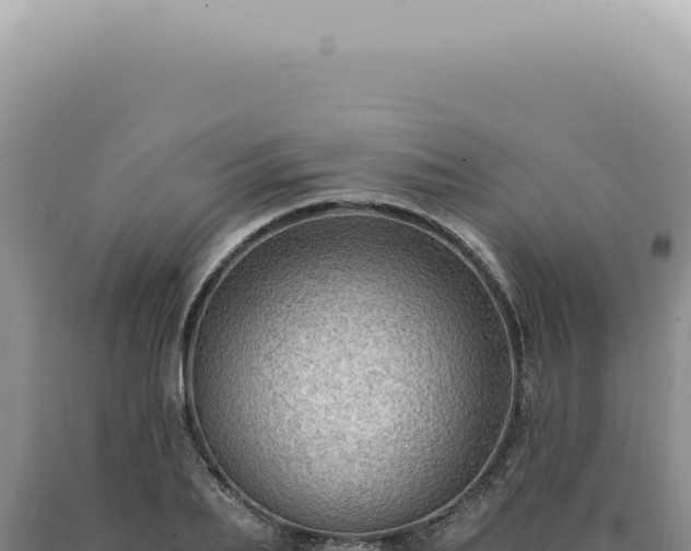 X0000090780887200707271546
