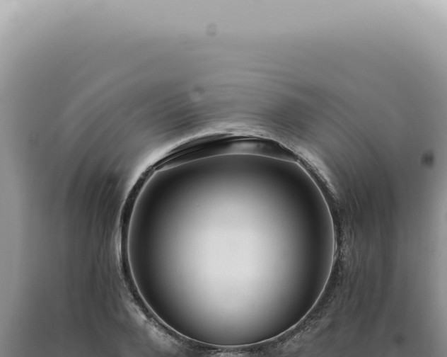 X0000090780888200707271546