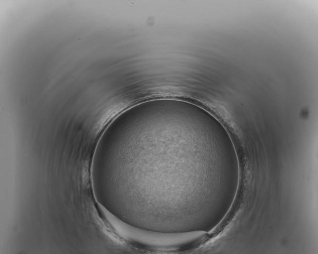 X0000090780889200707271546
