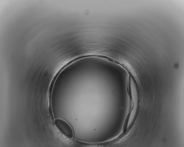 X0000090780892200707271546