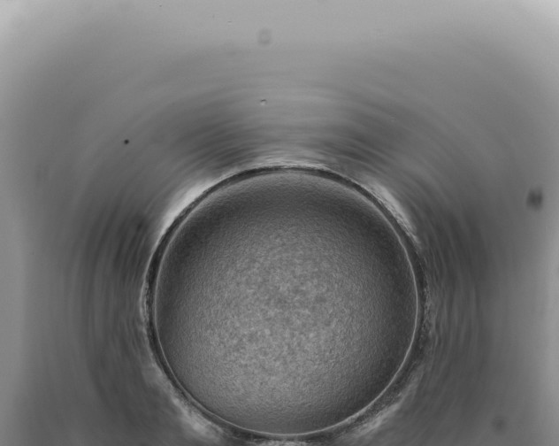 X0000090780893200707271546