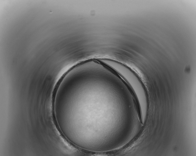 X0000090780894200707271546