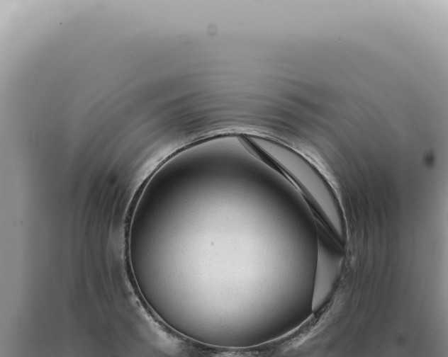 X0000090780898200707271546