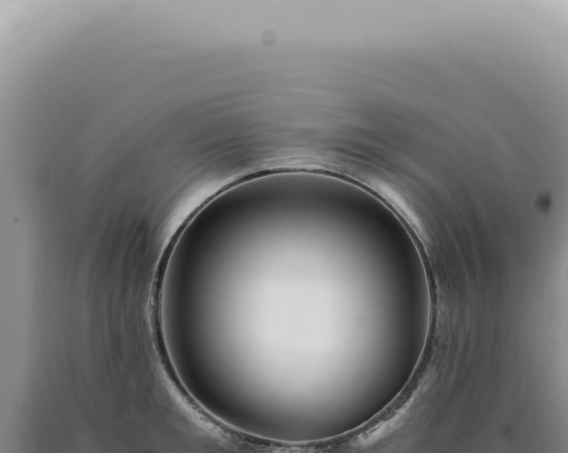 X0000090780901200707271546