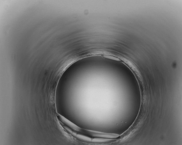X0000090780905200707271546