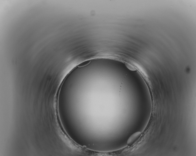 X0000090780907200707271546