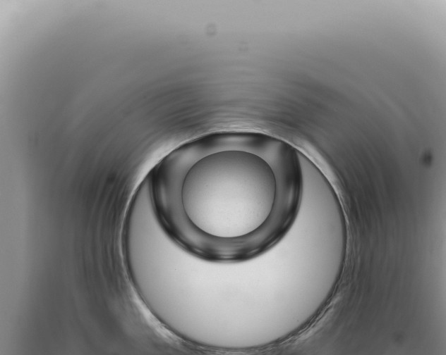 X0000090780909200707271546