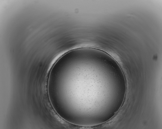 X0000090780912200707271546