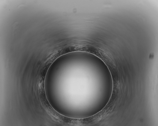 X0000090780914200707271546