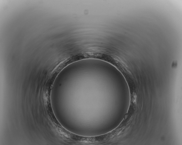 X0000090780915200707271546