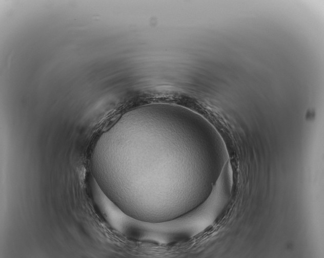X0000090780916200707271546