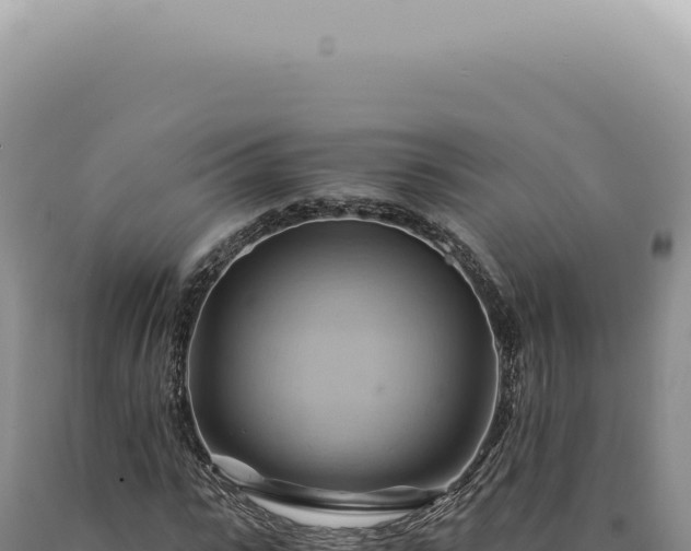 X0000090780919200707271546