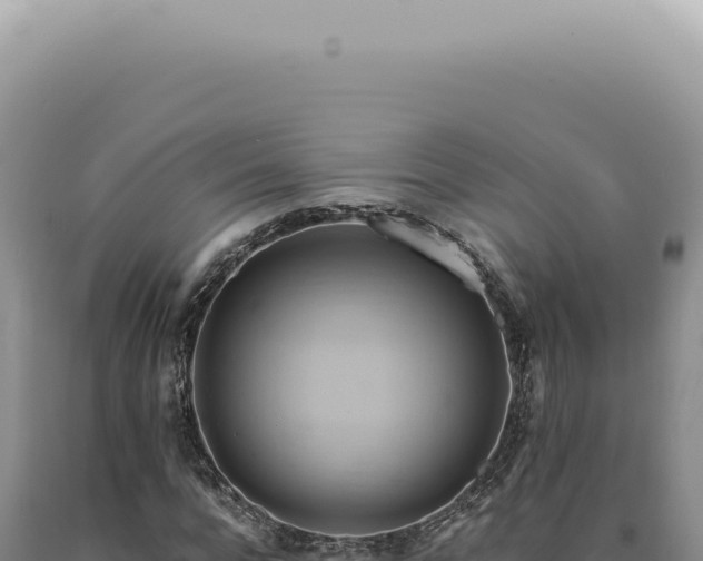 X0000090780920200707271546