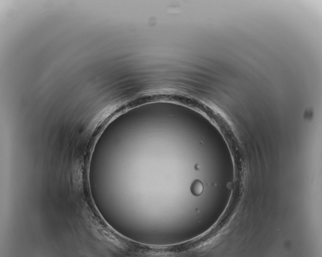 X0000090780921200707271546